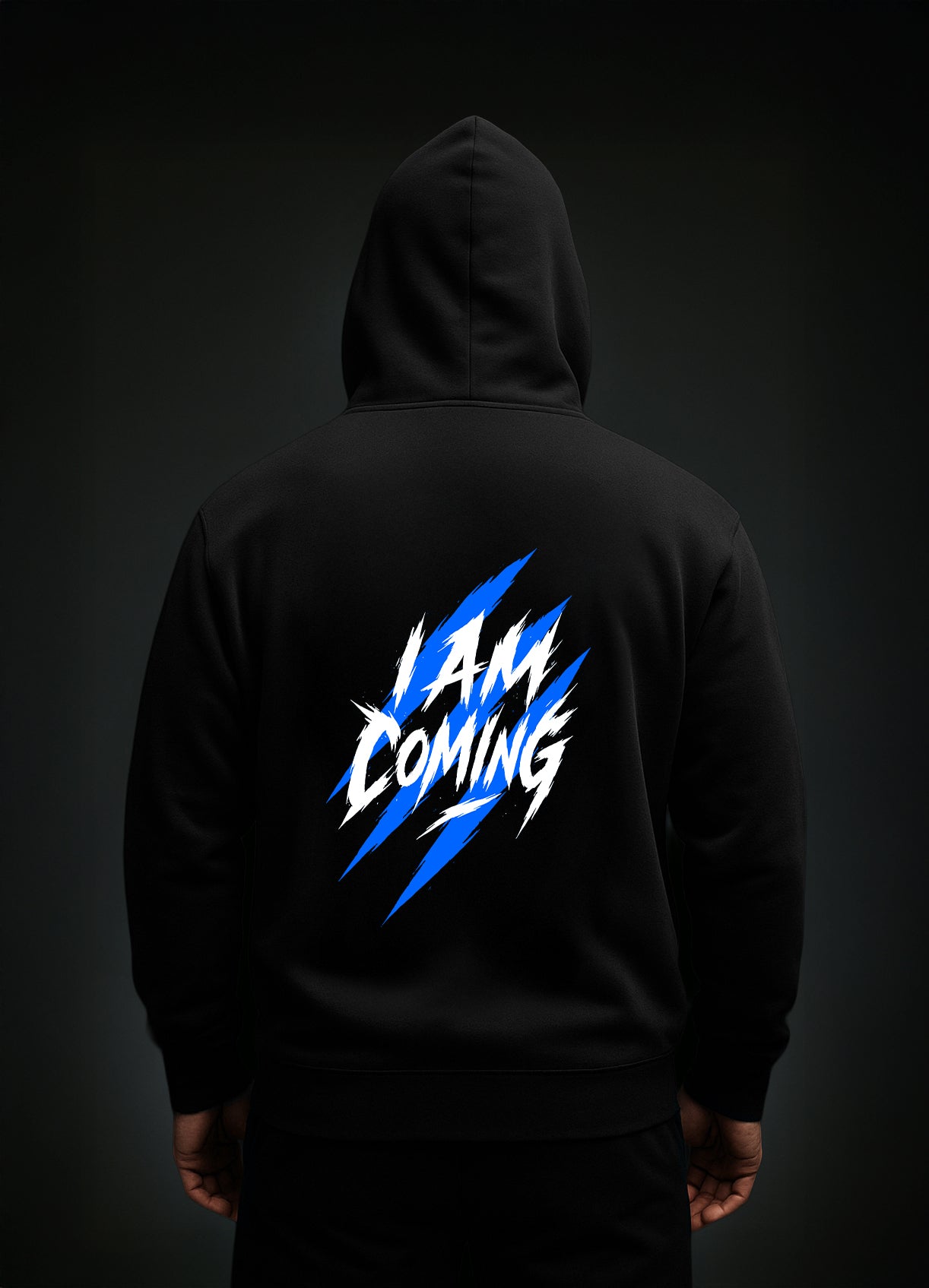 Jiri Prochazka Hoodie / Ири Прохазка Суичер